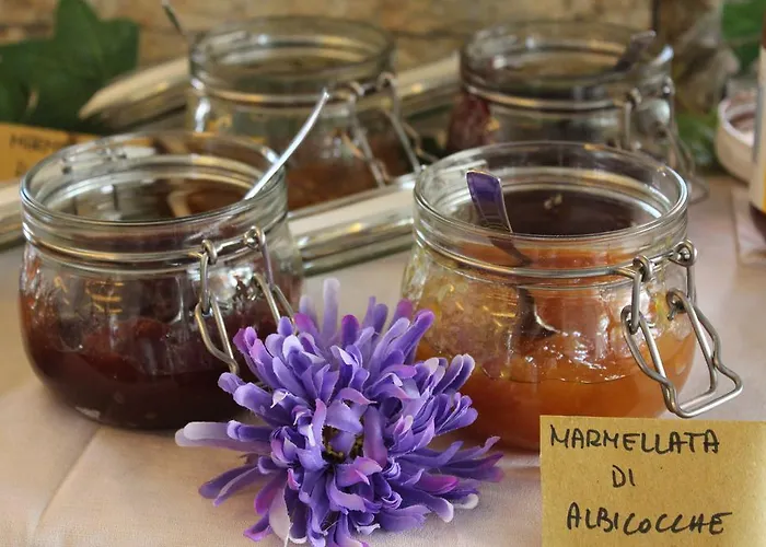 فندق Sogno تْشيزيناتيكو